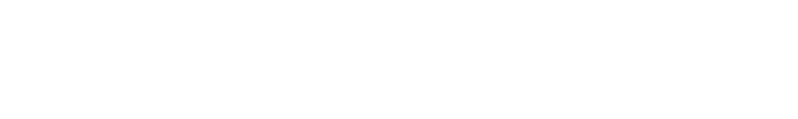 TYPO3 Agency, webvip bosnia, dach, outsourcing web development agency, Work Process Line